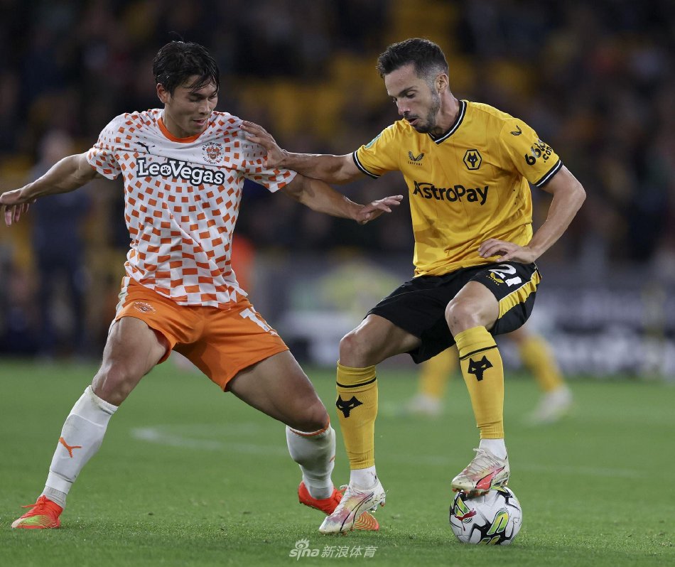 色的团队执 色的团队执