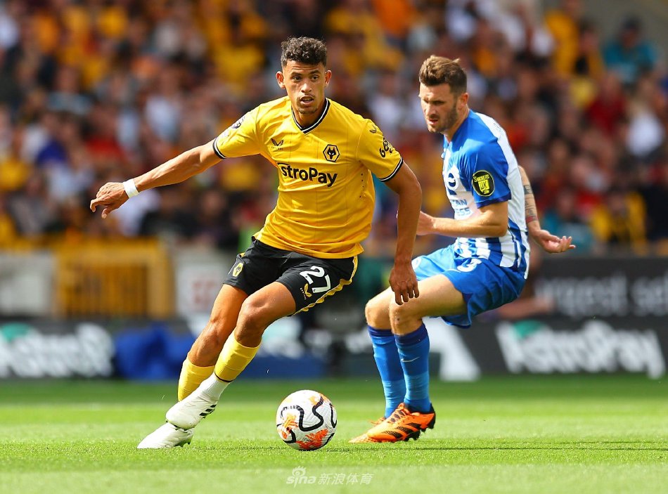 正为球迷们 正为球迷们